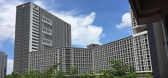 清水掛板
