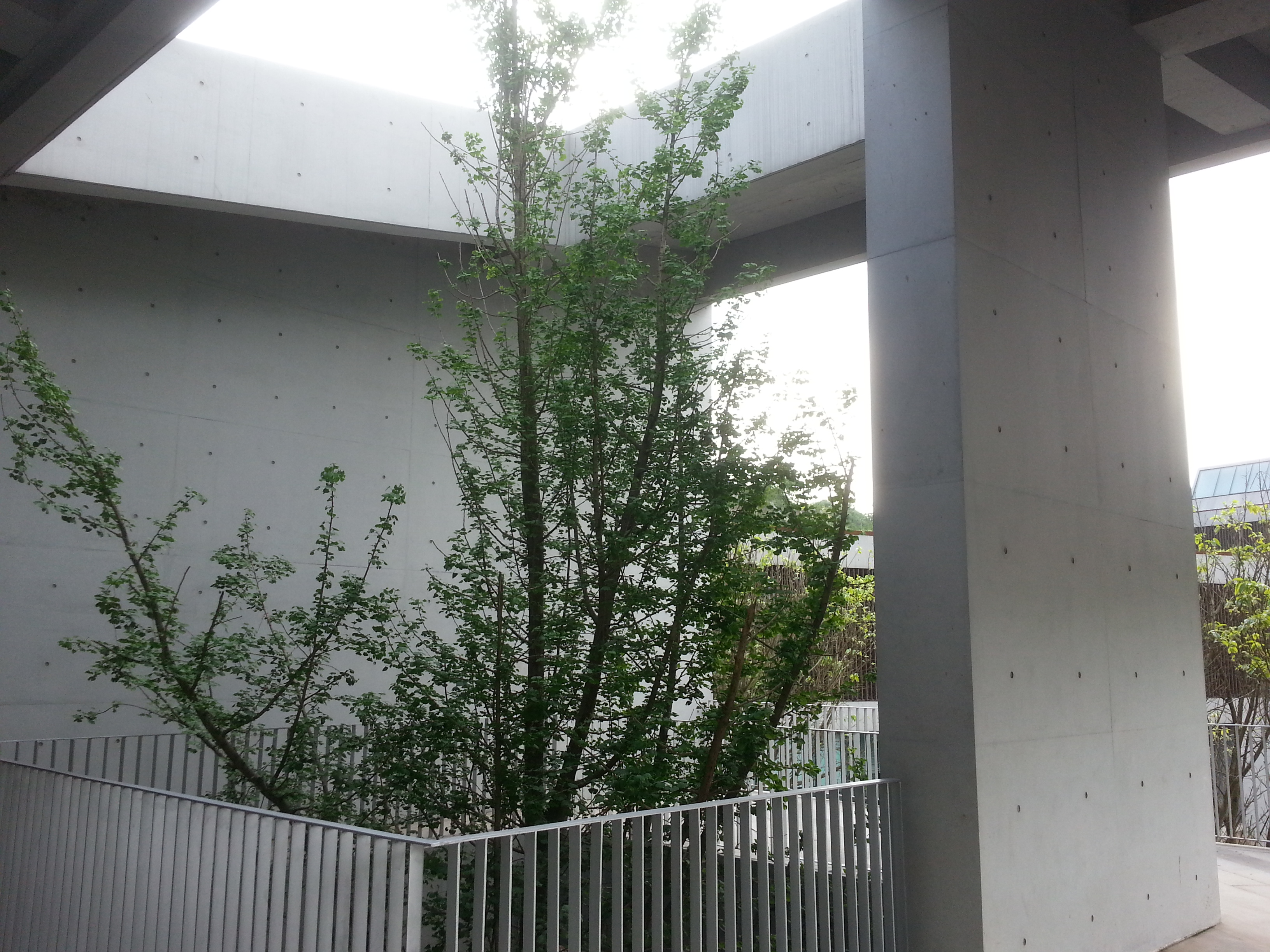 重慶桃源居公園